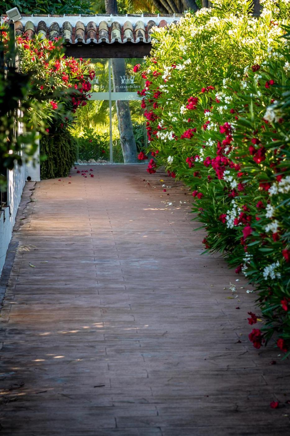 Apartamento Banus - Daisy Playas Del Duque Banus Marbella
